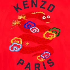 Back-illustrated windbreaker