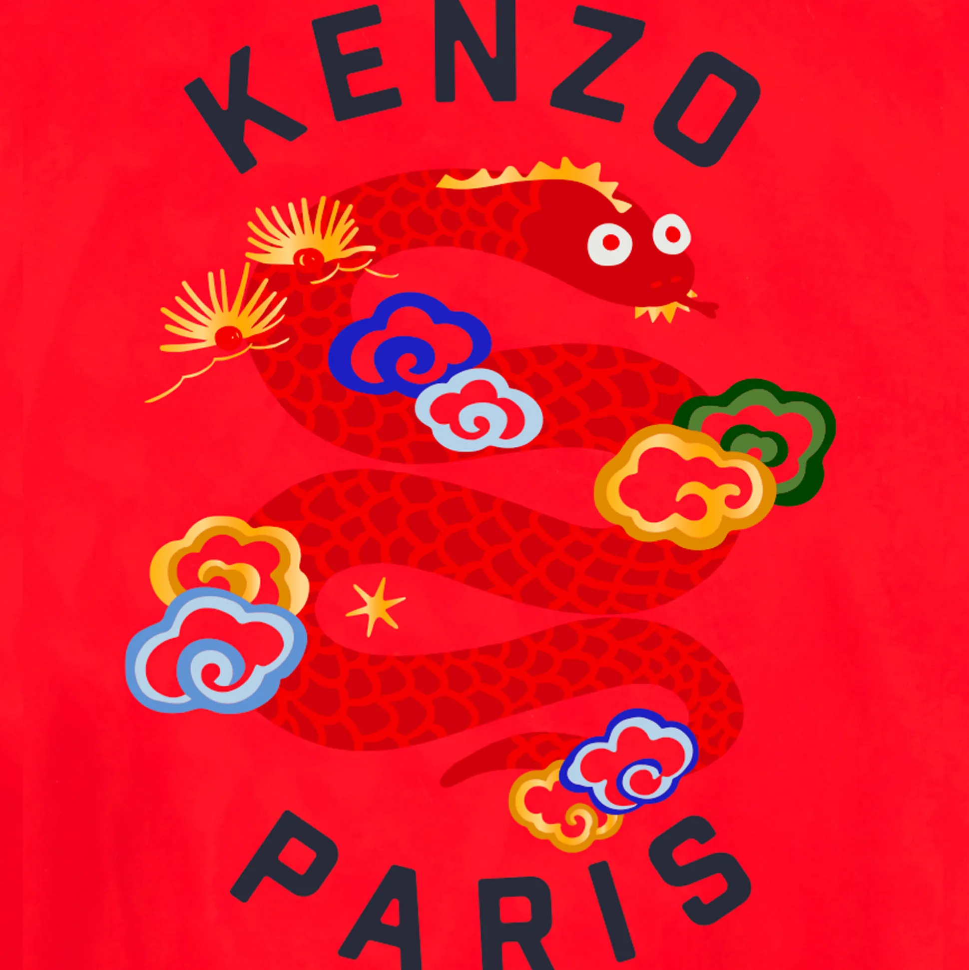 Back-illustrated windbreaker