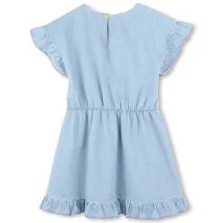 Embroidered denim dress