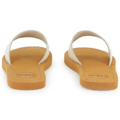 Fabric logo slides