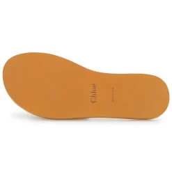 Fabric logo slides