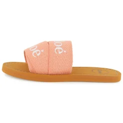 Logo slides