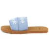 Logo slides