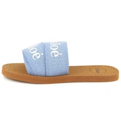 Logo slides
