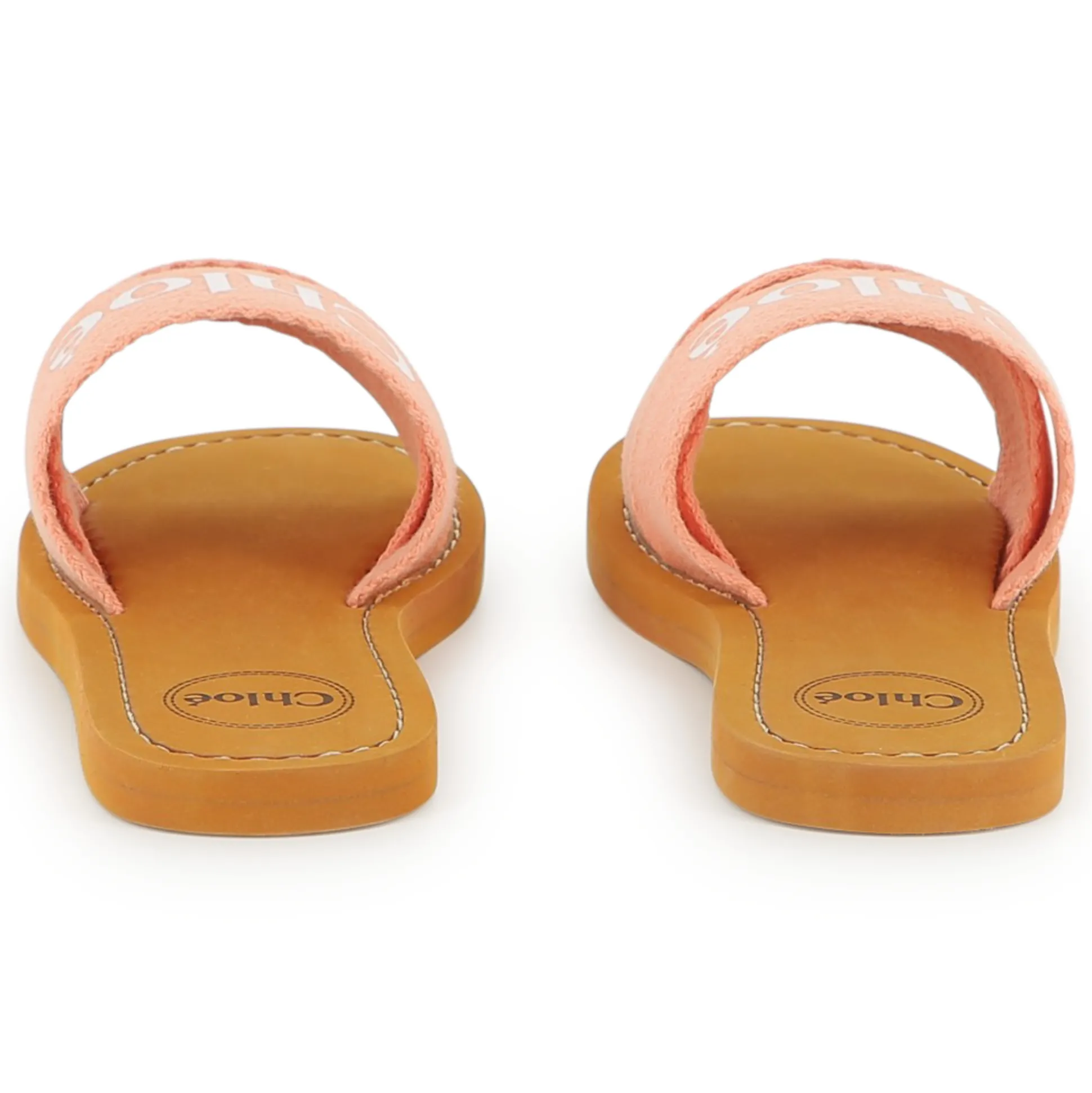 Logo slides