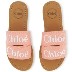 Logo slides