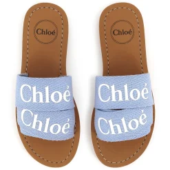 Logo slides
