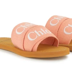 Logo slides