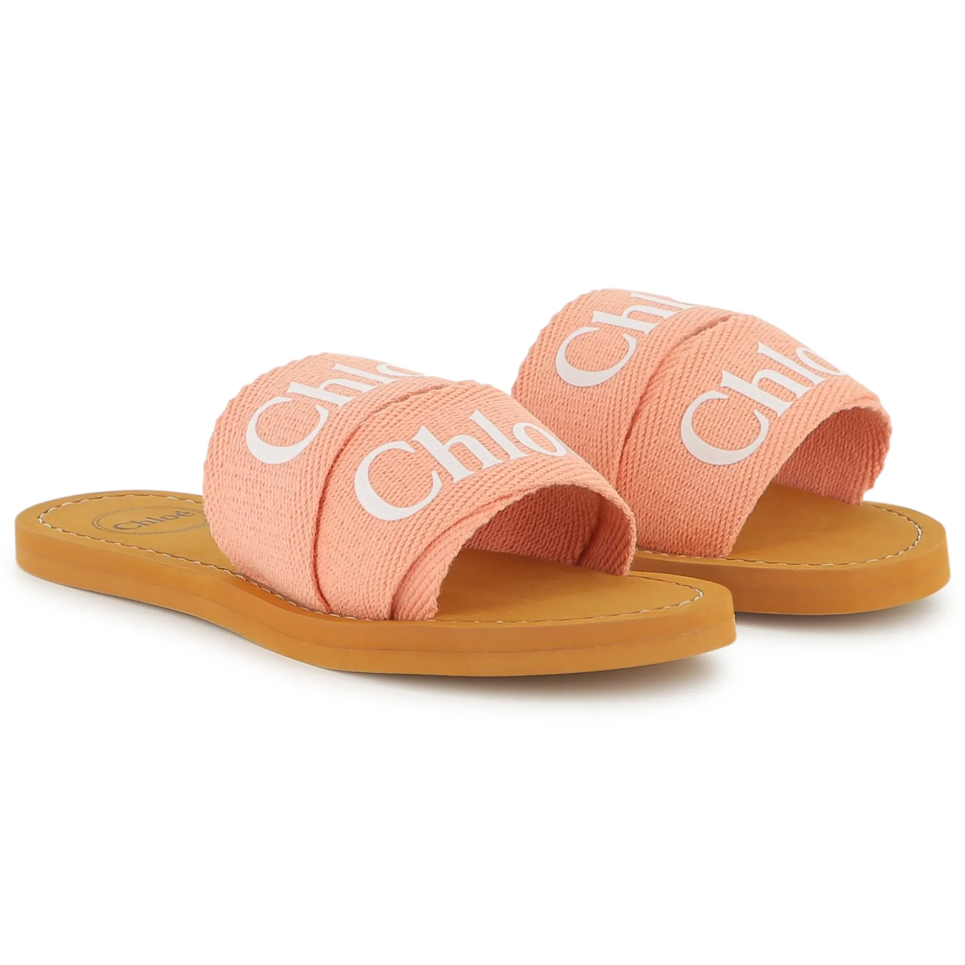 Logo slides