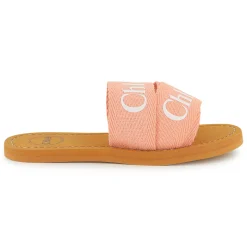 Logo slides