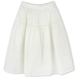 Long embroidered skirt