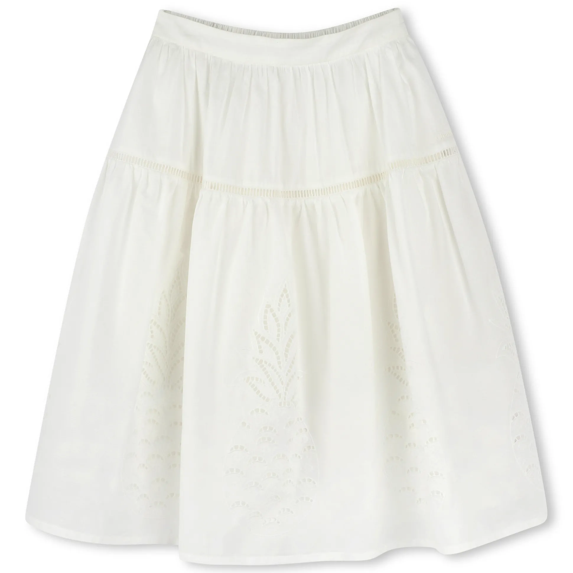 Long embroidered skirt